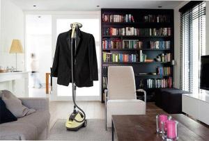 How to choose a clothes steamer?